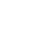 Globe Icon